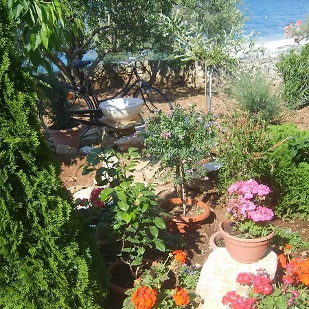 Iva Apartament