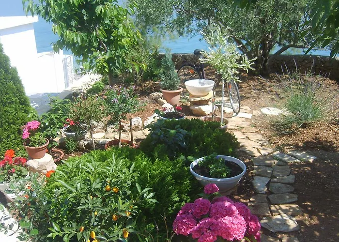 Iva Apartment Trogir