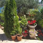 Iva Trogir