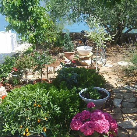 Iva 公寓 特罗吉尔